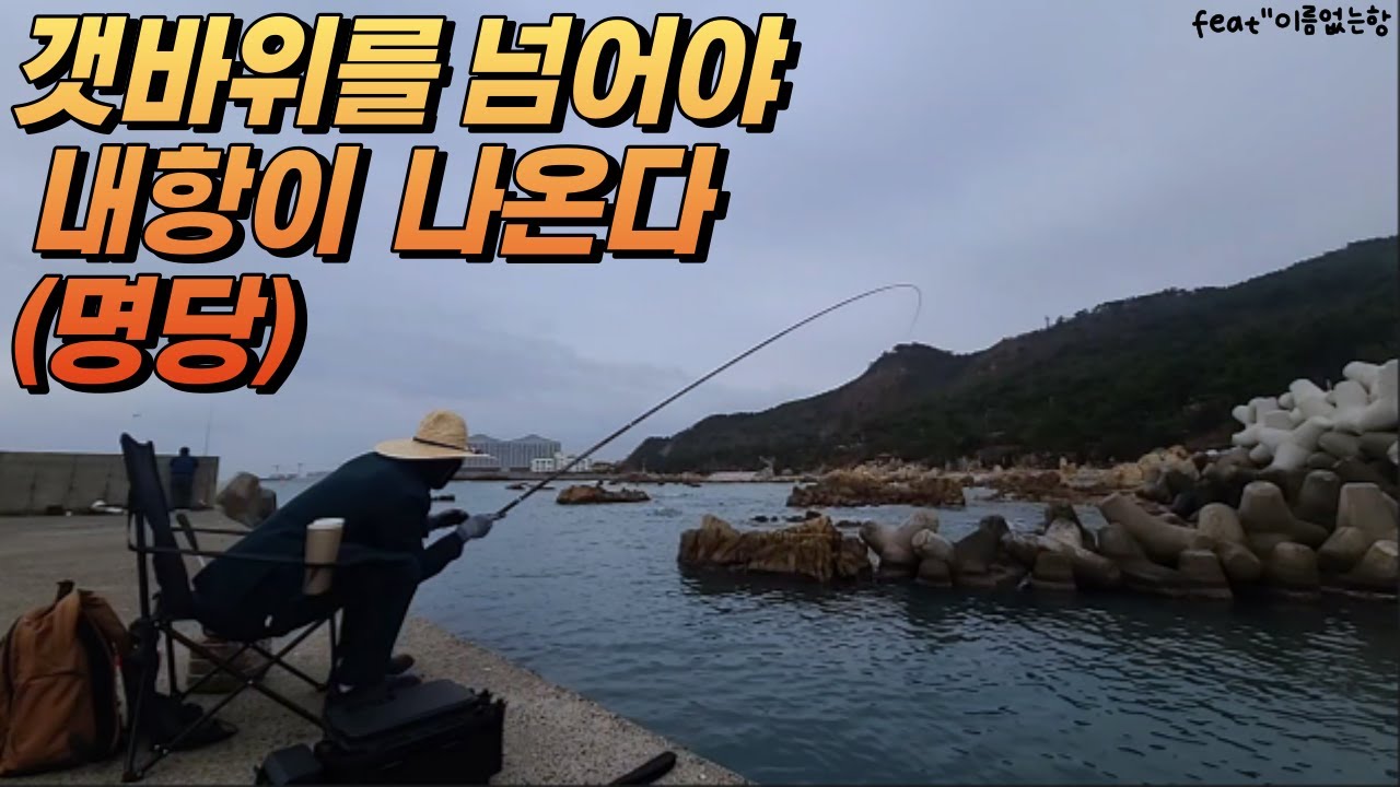 피딩타임은 물때x 비오면시작이다. 특이한 내항낚시  feat''이름없는항