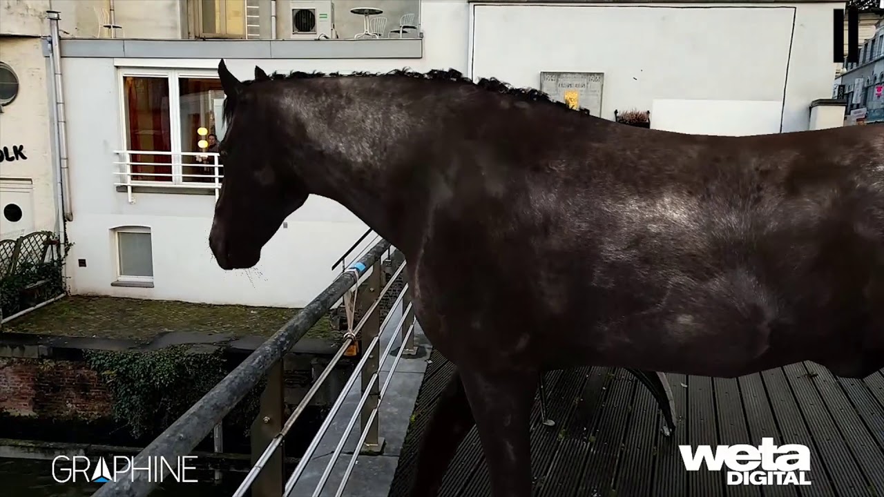 AR Horse - In-app video