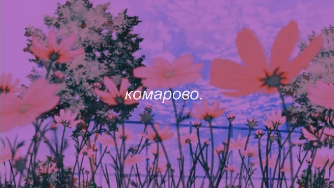 ⋘игорь скляр - комарово⋙ slowed + reverb