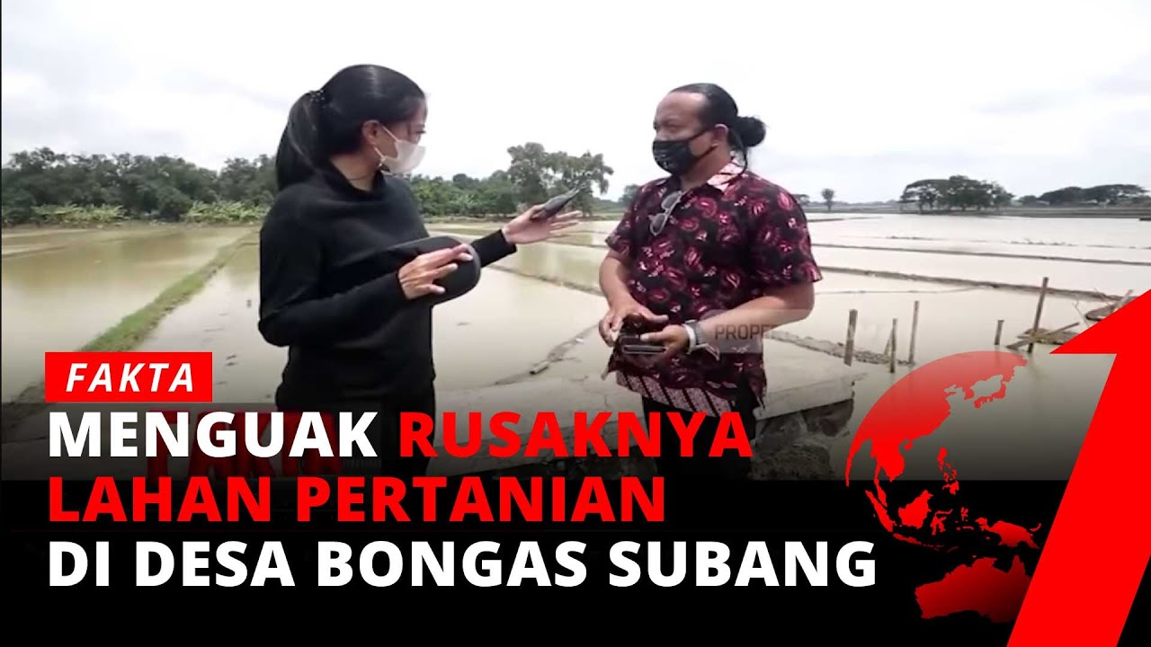 50 Hektar Lahan Pertanian Tersapu Banjir Luapan Tanggul Cipunagara yang Jebol | Fakta tvOne