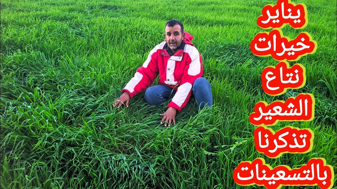 هد الخيرات سنين مشفناها عودة الى الزمن الجميل  منطقة زعير الشعير