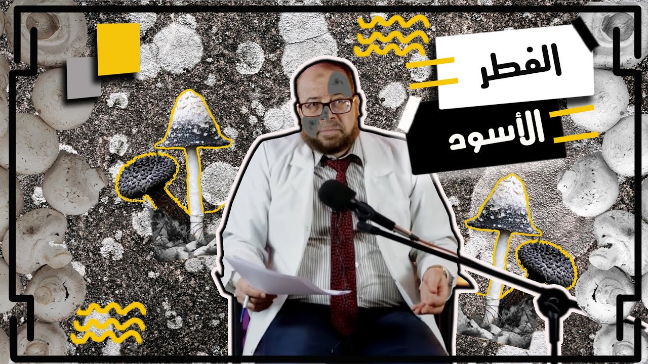 مسببات الفطر الاسود