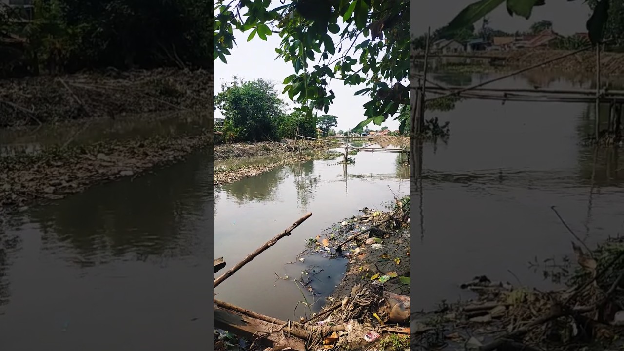 geger kali serengseng banjir #shorts