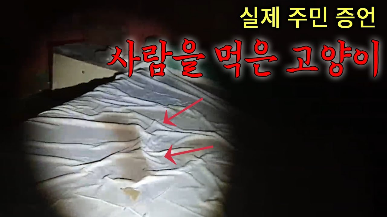 ENG SUB)고양이들이 주인을 뜯어먹었다는 흉가.. + 100% 리얼 주민 증언[A haunted house where cats ate their owners]