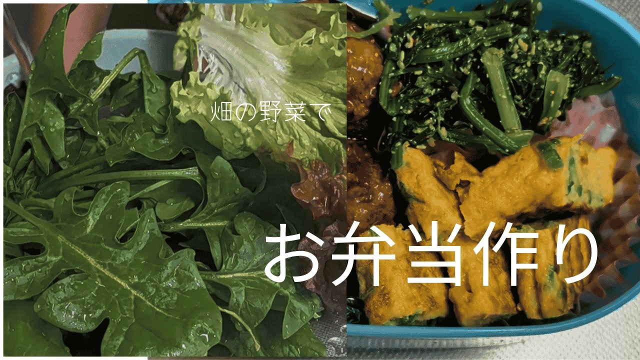 【朝のルーティン】畑の野菜でお弁当を作る｜ちいちゃんの畑