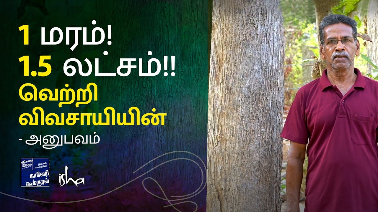 தேக்கு நட்டால் லட்சங்களில் பணம் நிச்சயம் ... 
