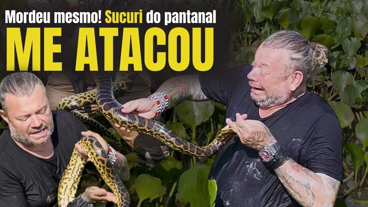 MORDEU MESMO! A SUCURI ME ATACOU NO MEIO DO PANTANAL! 🐍⚡