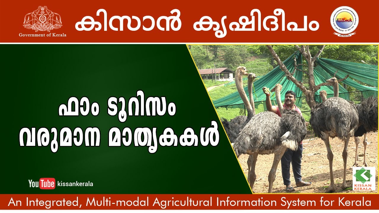 A success story of Farm Tourism in Kerala - A good business proposition