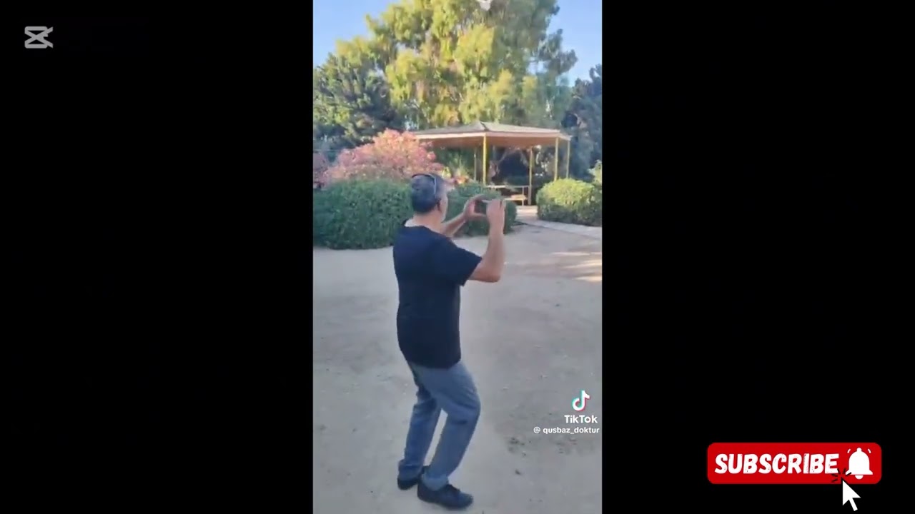 Əlifağa dayının qonağı olduğ.