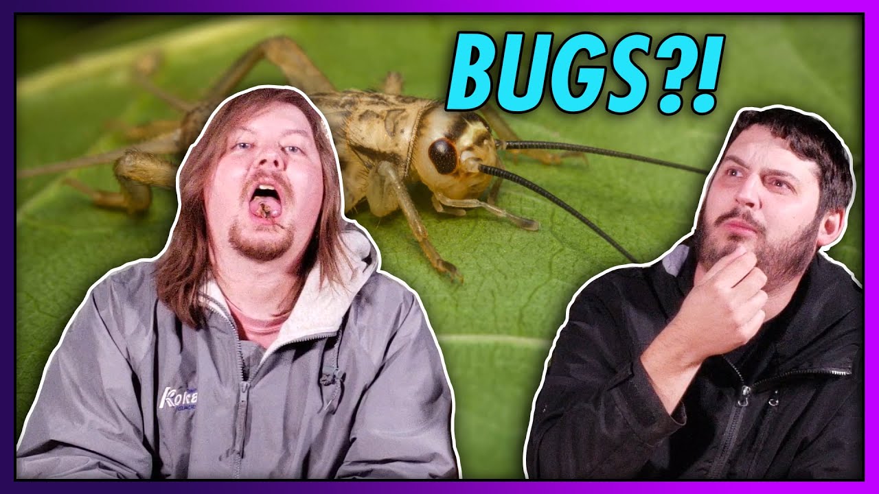 Trying Weird Food | Eating Bugs Novelty Snacks