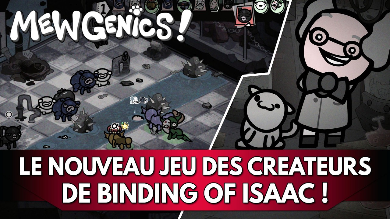 Mewgenics Gameplay FR : le nouveau Jeu des Créateurs de Binding of Isaac ! | Découverte