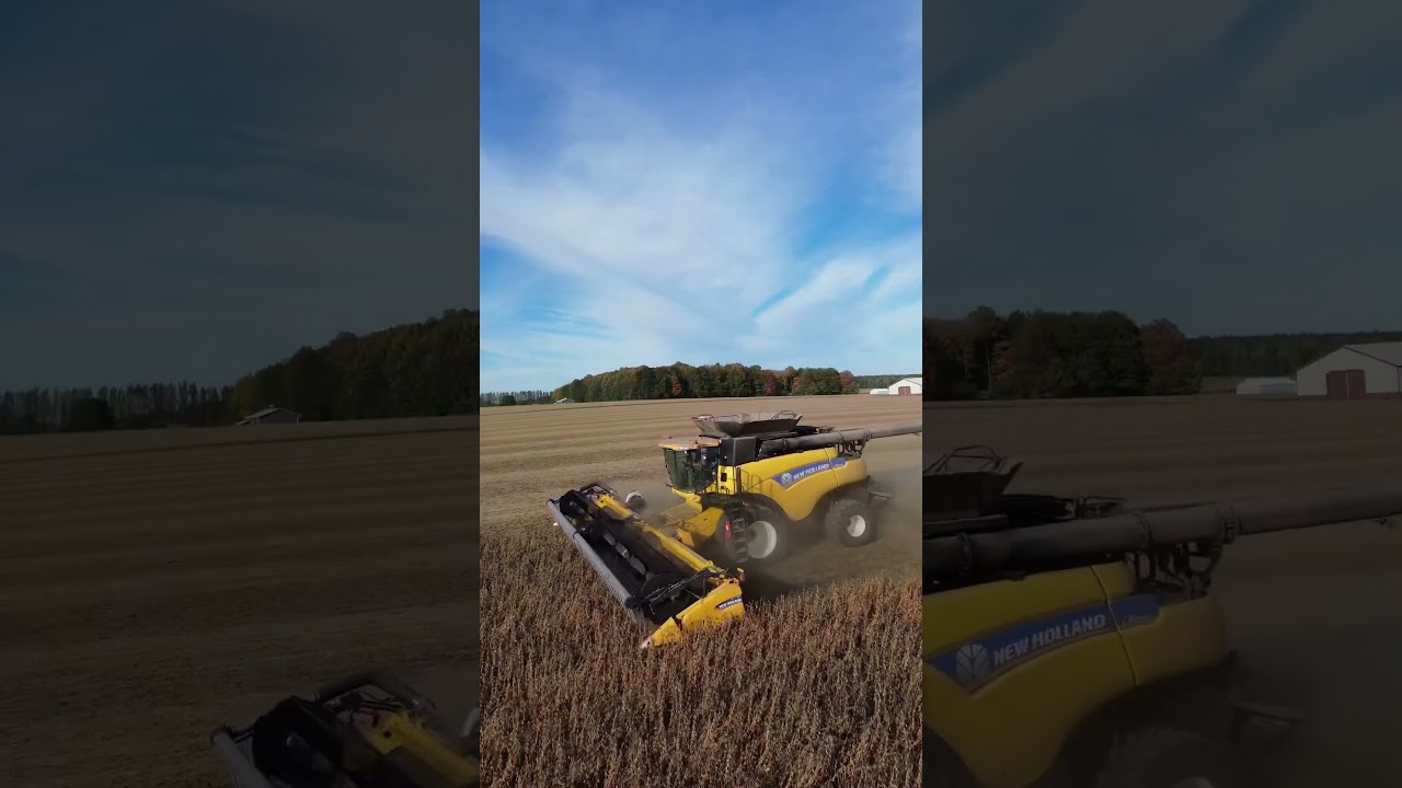 Just farmin&rsquo; #harvest2024 #newholland #agriculture #farmlife #soybeans