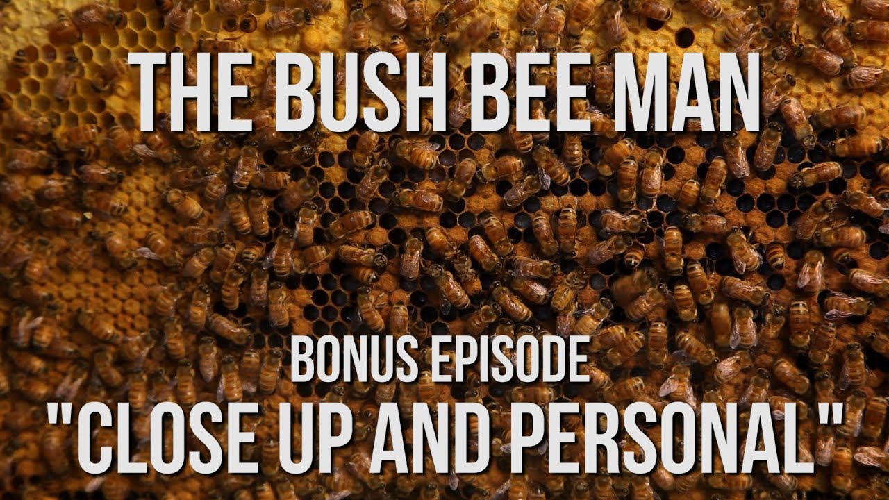 Homemade Observation Bee Hive - The Bush Bee Man