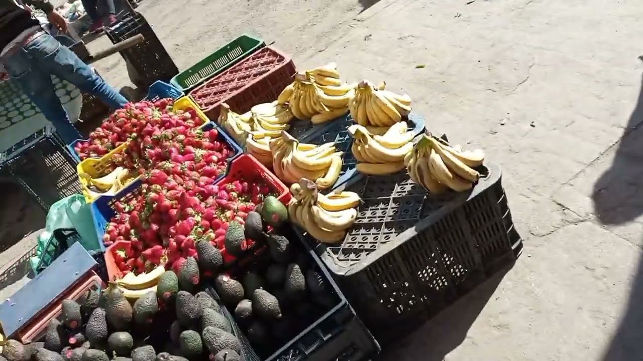 لي معارفشي سوق مسنانة شنو فيه و فين جاء ضروري دخلو تشوفو هاد الفيديو