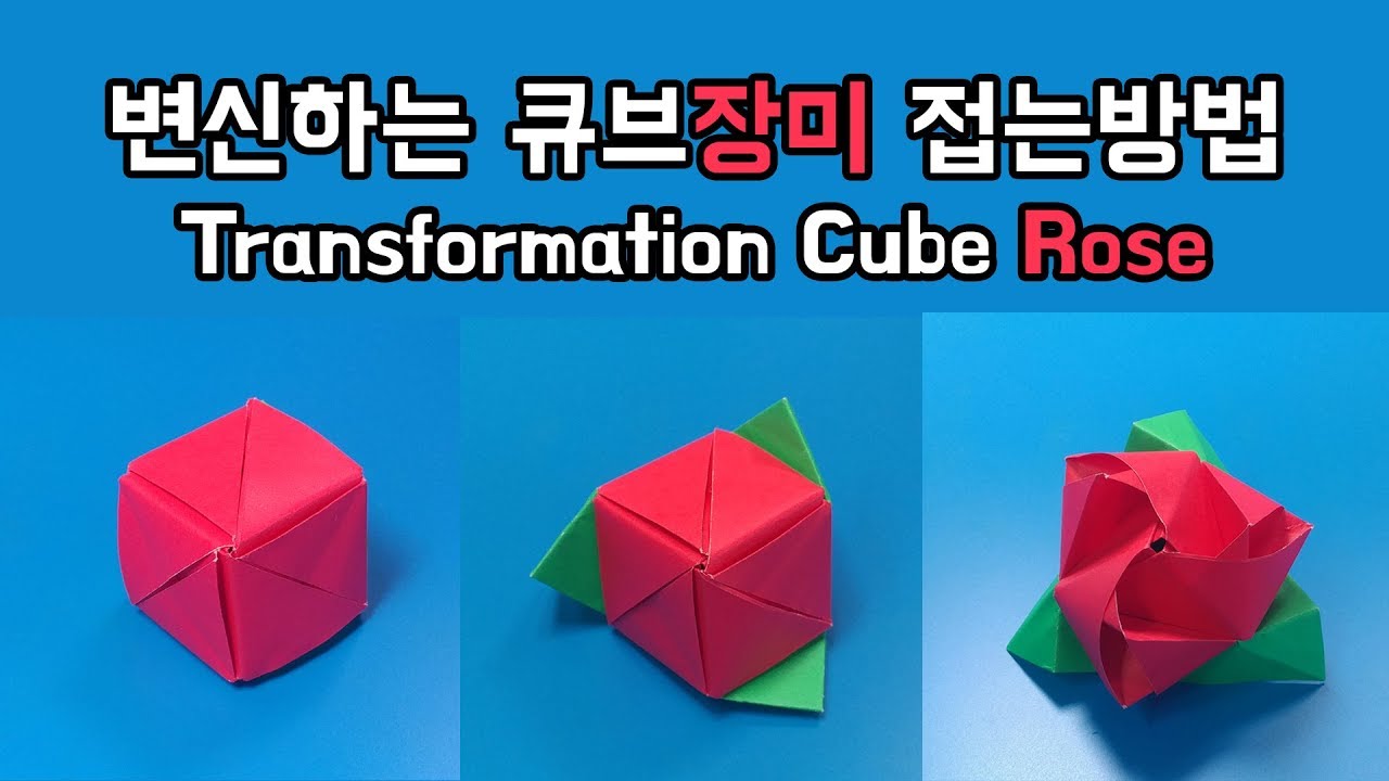 변신하는 큐브장미 접는방법(종이접기) / 네모아저씨 (Origami transformation cube rose)