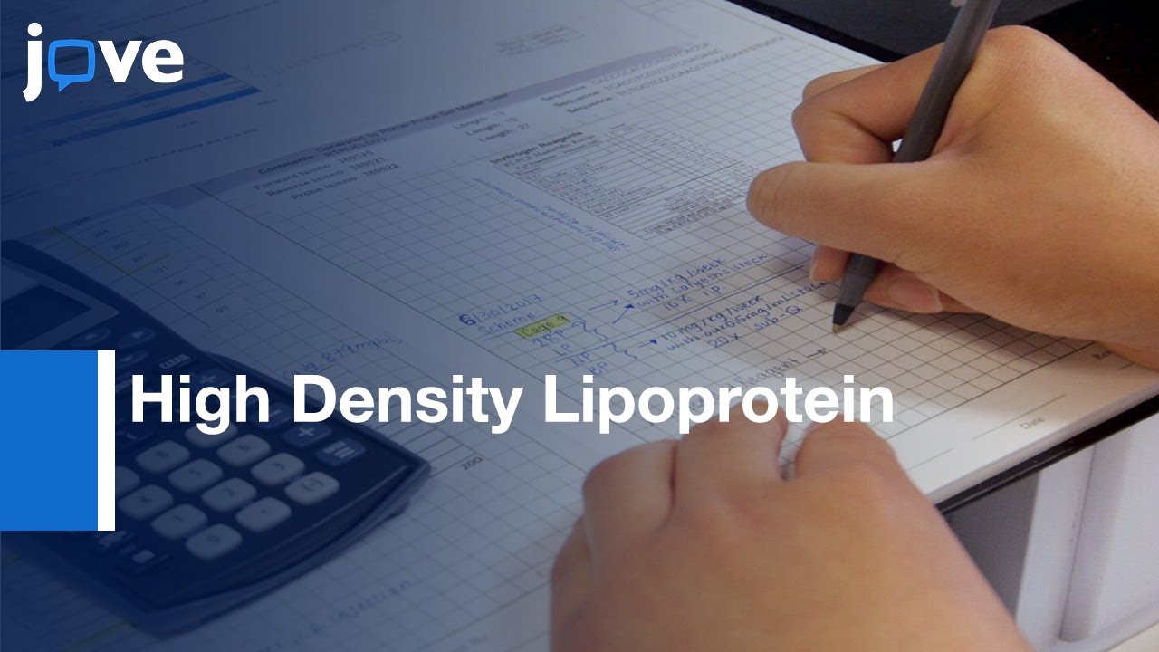 Biochemical Fluorometric Enzymatic Assay (Peroxidation Measurement)