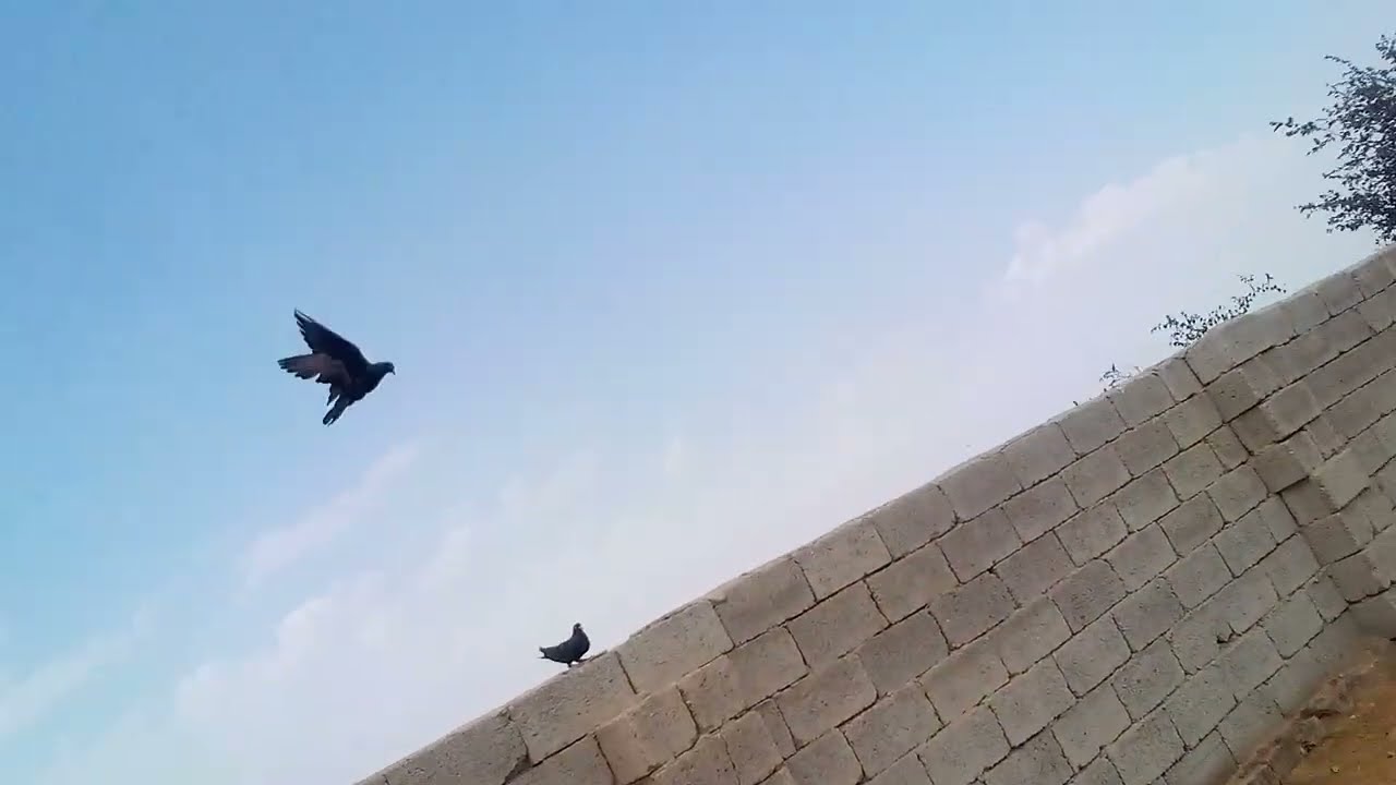 كملوه للنهايه خوش لوت