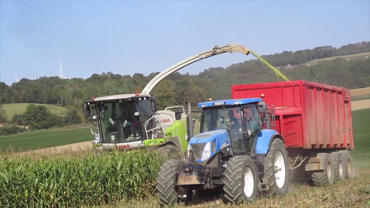 ENSILAGE 2019 au gaec du Mont du Ciel  LIEBHERR/JCB/CLAAS JAGUAR/NEW HOLLAND