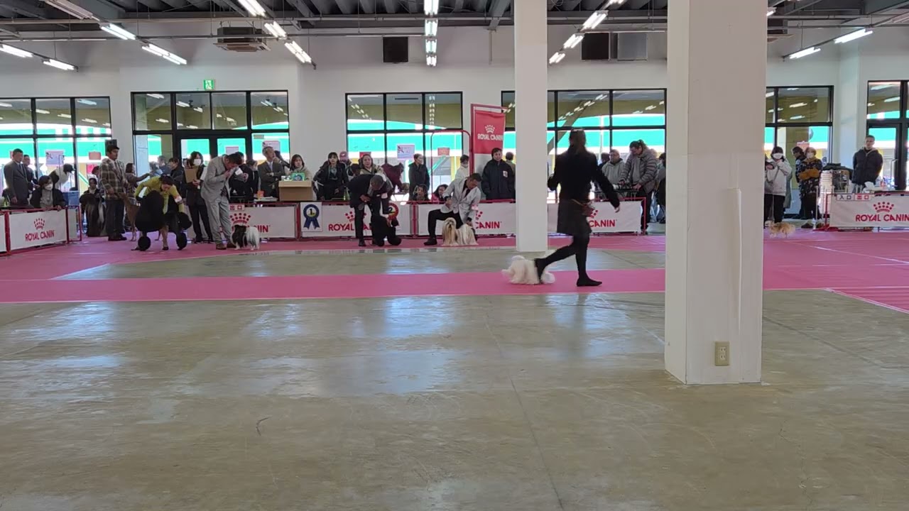 2026.1.10グループ戦