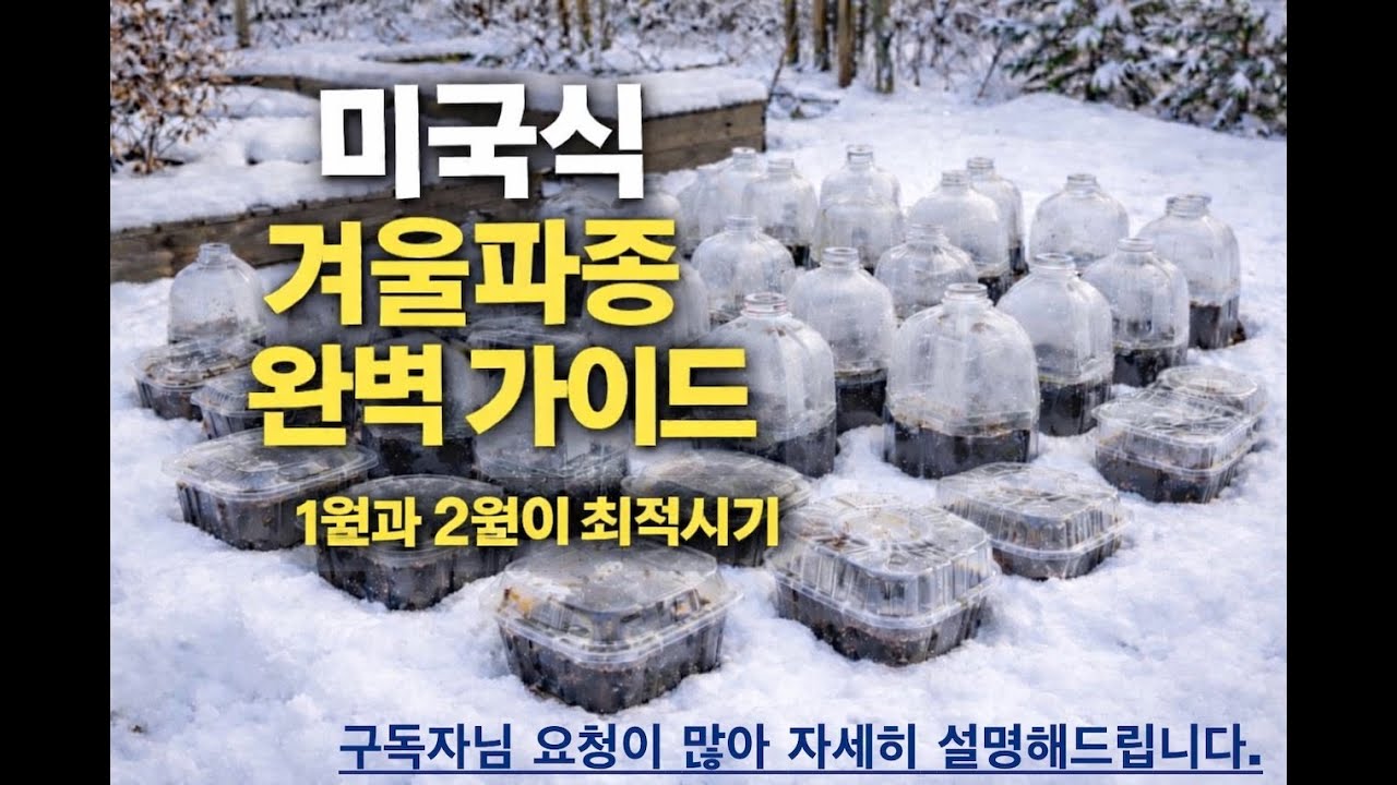 겨울파종 제대로 알려드릴게요 (대한민국 1월과 2월에 가능).
