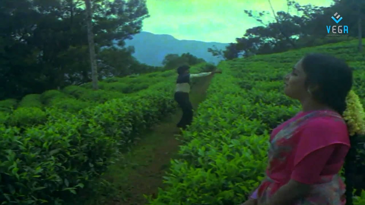 Chakkani Chukkammo Chiru Romantic Video Song - Puli Bebbuli