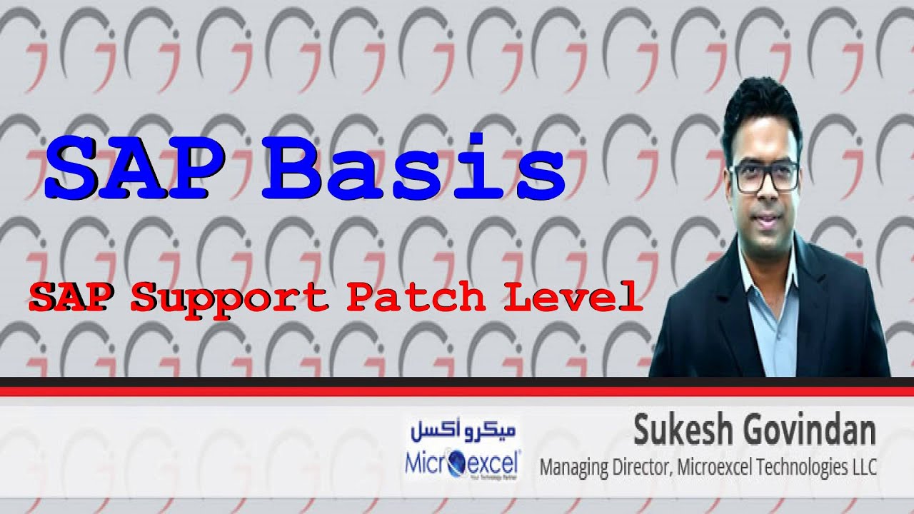 SAP Basis - SAP Support Patch Level