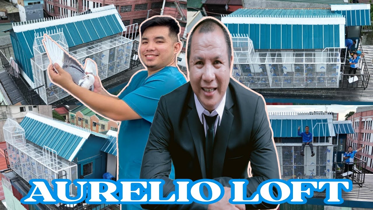 NEWBIE FANCIER NG MENDIOLA | AURELIO LOFT  | TAIWAN LOFT | MADE BY MHARK AGUILUZ LOFT MAKER