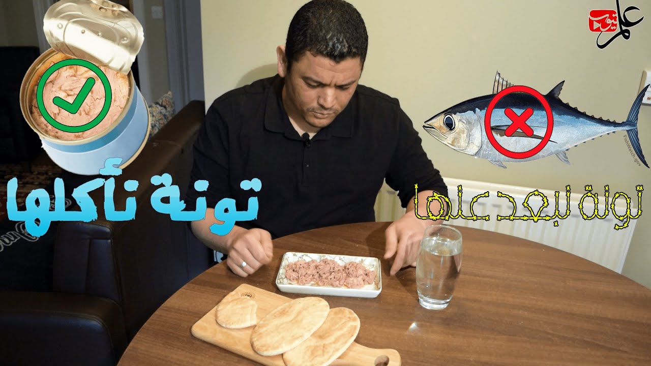 هل التونة مضره ؟