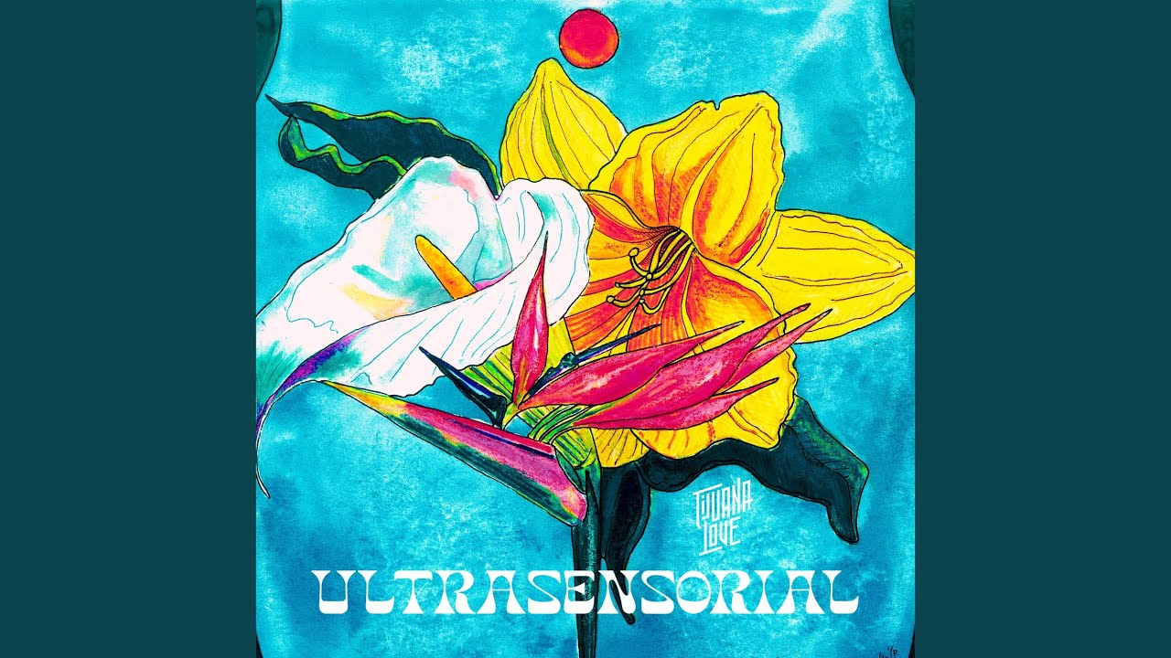 Ultrasensorial
