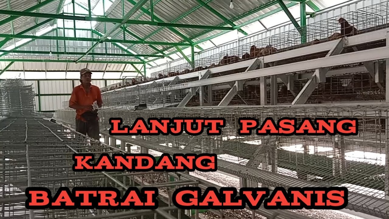 pemasangan kandang batrai galvanis