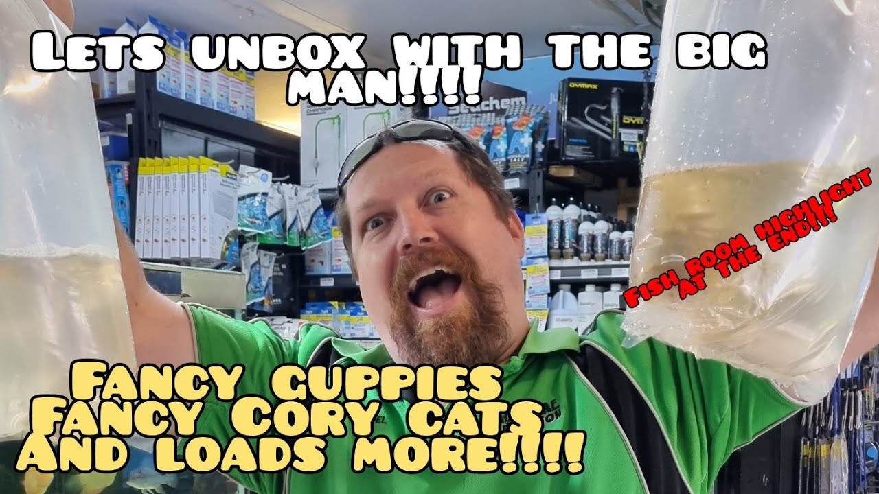 unboxing another monster shipment of aquarium fish
