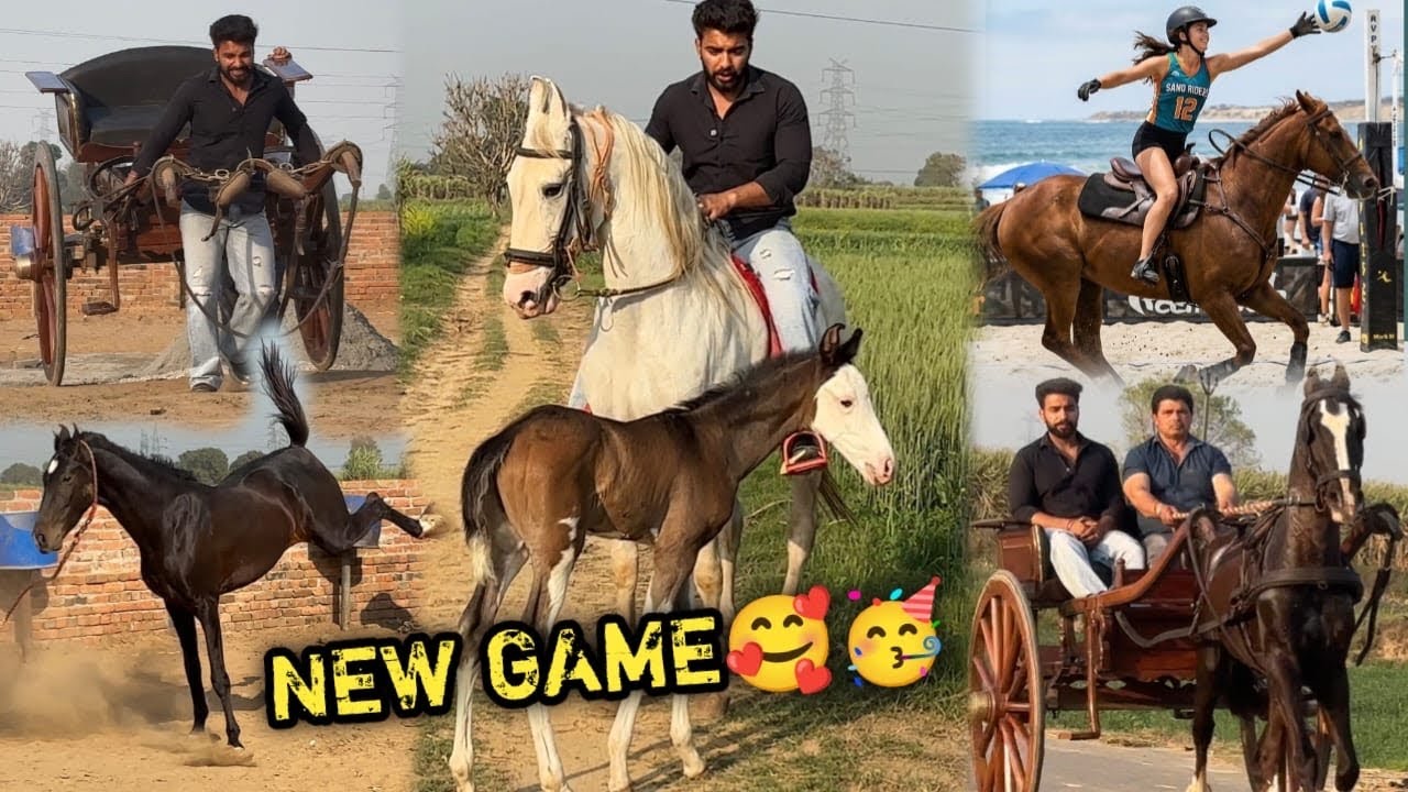 Pahalwan Farms Pr New Game Ho Raha Hai 🥳Apsara or new baby Ki Bhi Training Shuru Ho Gyi 🤩