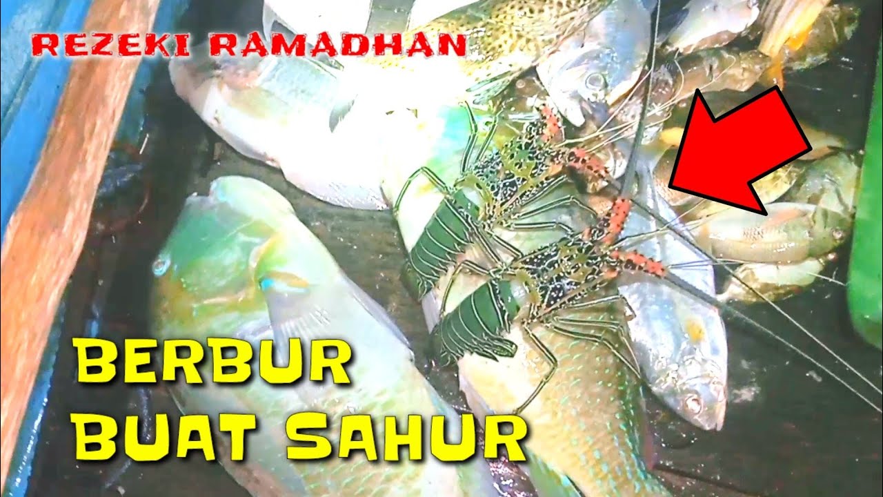 REZEKI RAMADHAN MENOMBAK IKAN BUAT SAHUR