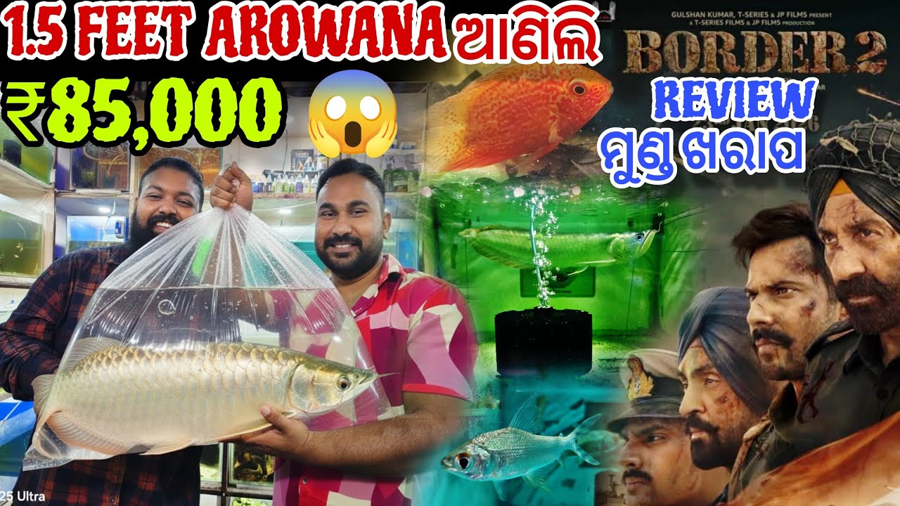 1.5 Feet ର Arowana ଆଣିଲି 🤑 Border 2 ଦେଖିକି ମୁଣ୍ଡ ଖରାପ // Paisa Barbaad 😭 Jena Babu Vlogs 