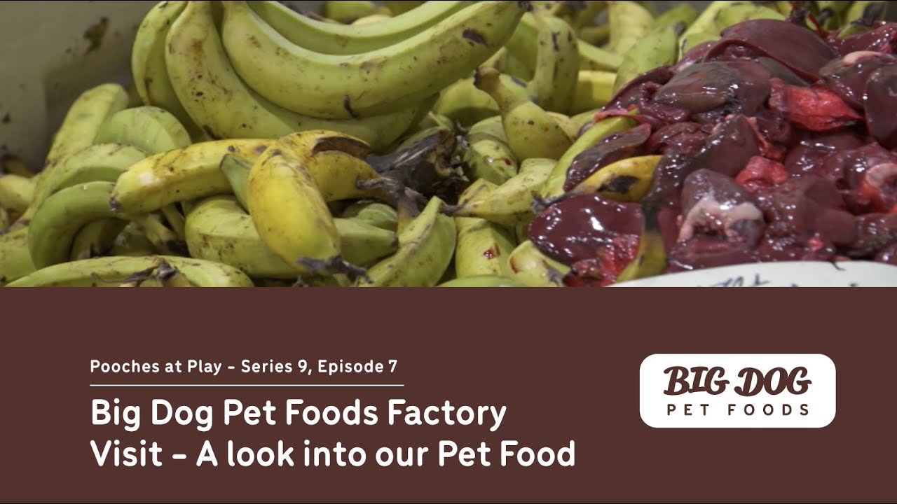 Big Dog Pet Foods factory visit - a look into our pet food