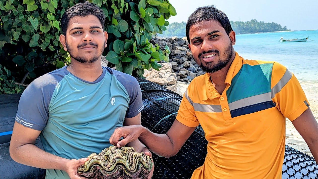 വിലപിടിപ്പുള്ള മുത്താണ് ഇതിൻറെ അകത്ത് | Lakshadweep Vlog