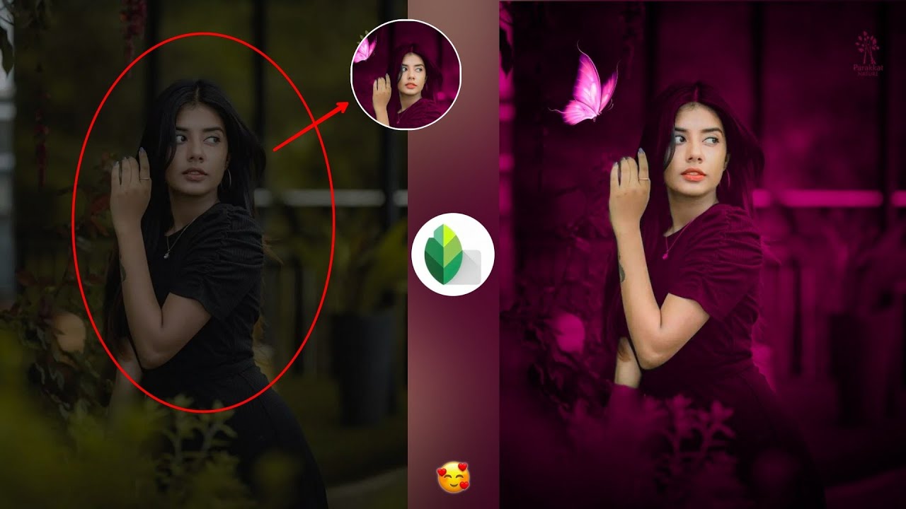 Snapseed Creative Butterfly Concept Photo Editing | Snapseed Pink Tone Effect | HCN Editing