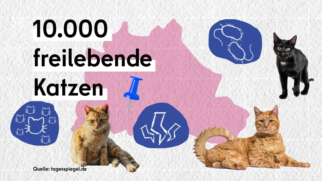 Berlin f&uuml;r den Katzenschutz