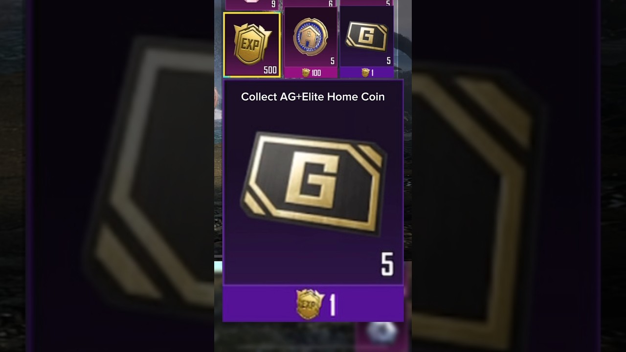 Collect AG+Elite Home Coin