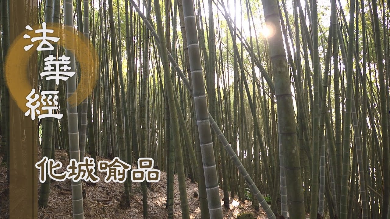 【靜思妙蓮華】法華經化城喻品 - 遵善行 施大愛 - 20211202 第1037集