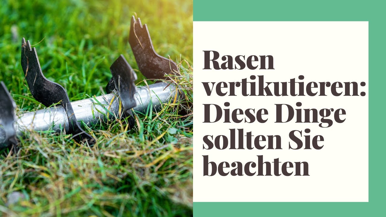 Rasen vertikutieren - Diese Dinge sollten Sie beachten