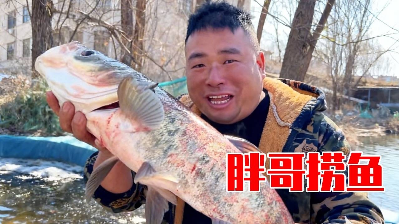 胖哥穿上皮插坐船抓鱼，一条接一条的大鱼抓的胖哥眉飞色舞，年的味道——从捞一条大鱼开始！