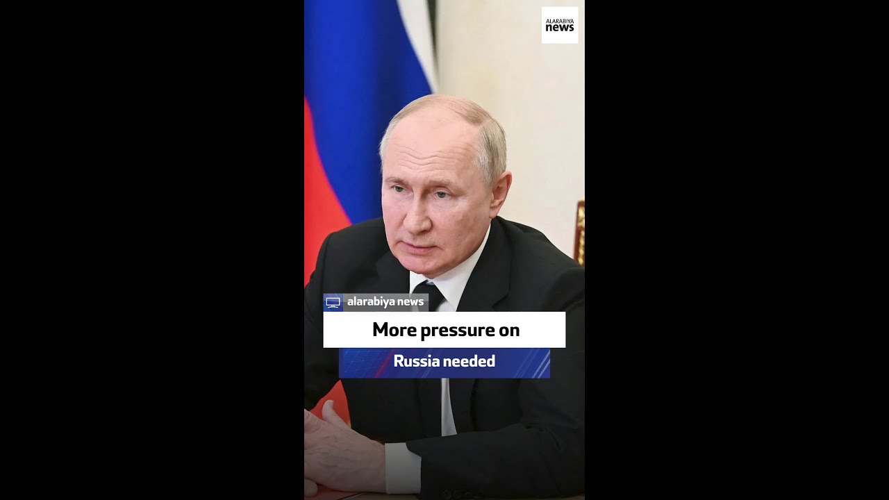 Former US ambassador says more pressure needed on Russia