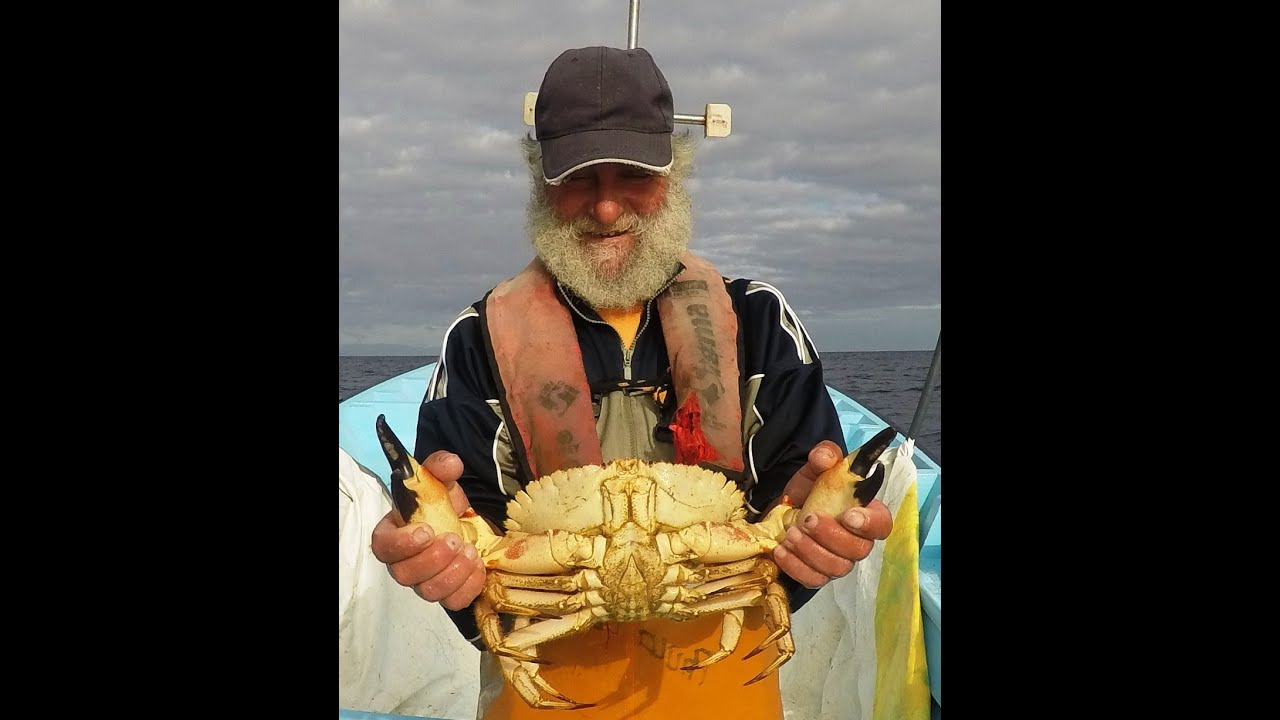 Pesca Açores Fishing Toothed rock crab / Pesca Sapateira, カニの釣り 蟹漁  صيد السلطعون
