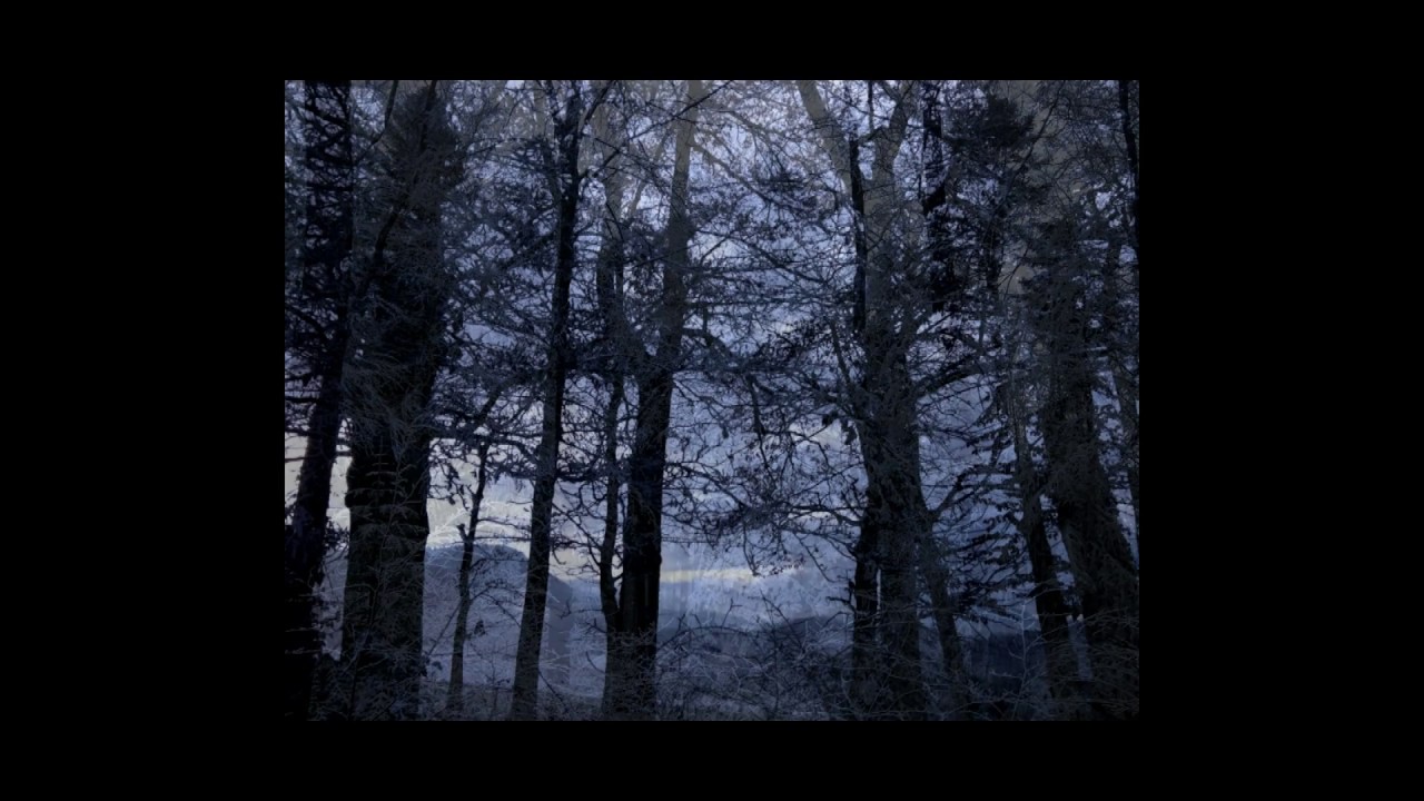Dark Ambient - Vinterriket Book - Im Antlitz der Ferne - Impressionen eines Wanderers III - preview