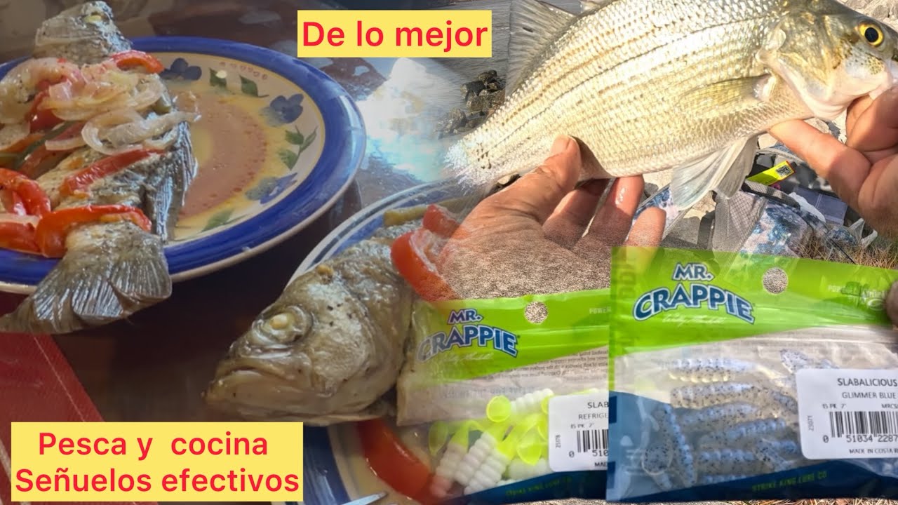 De la Pesca a la Mesa: White Bass, Carpas y Sabor”