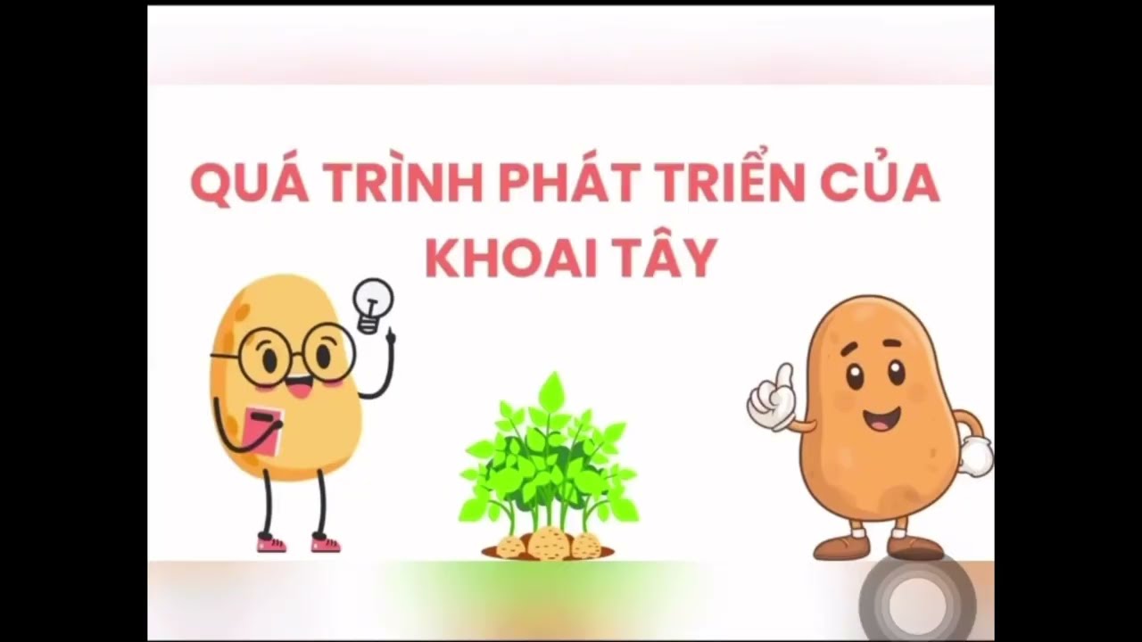 Thằng cháu học thuyêt trình bài giống cây trồng ở lớp học mẫu giáo