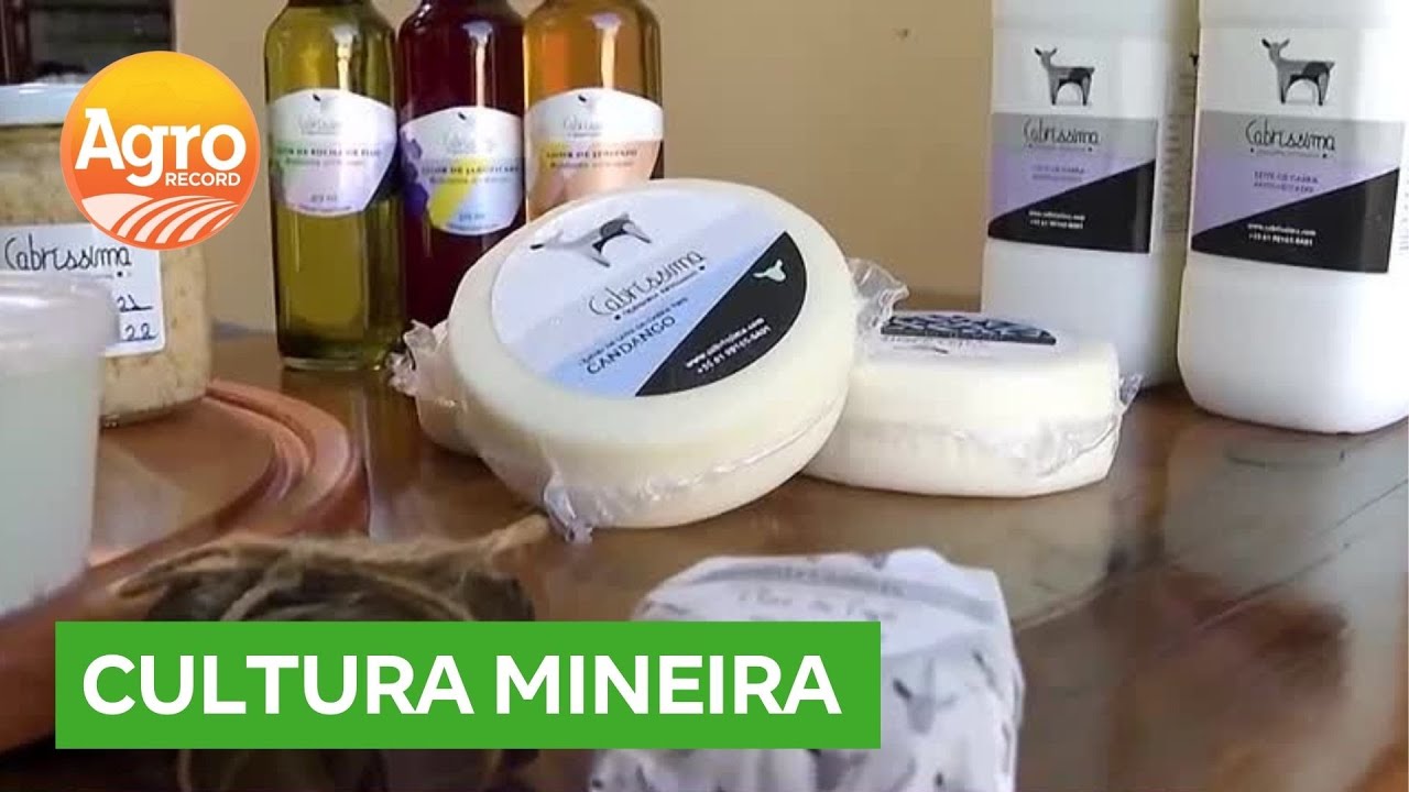 Leite de cabra: produ&ccedil;&atilde;o no Lago Oeste investe em novos produtos usando o latic&iacute;nio | Agro Record DF