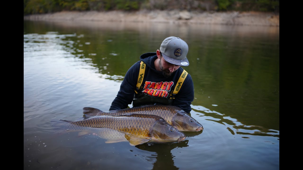 Carp Cabanac  Motivation