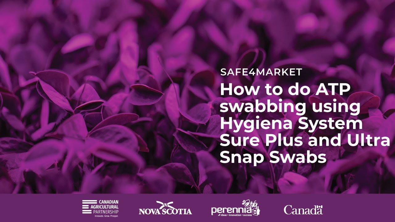 How to do ATP swabbing using Hygiena System Sure Plus and Ultra Snap Swabs